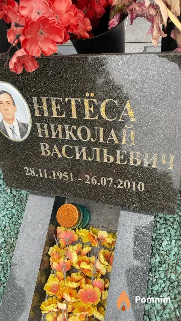 Нетёса Николай Васильевич
