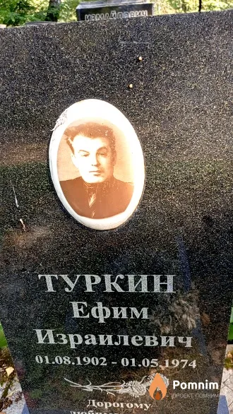 Туркин Ефим Израилевич