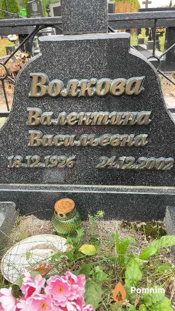 Волкова Валентина Васильевна