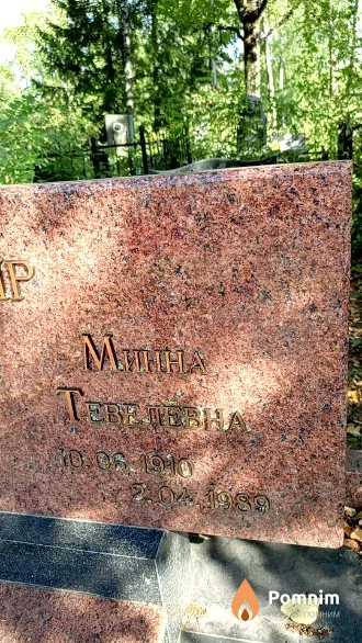 Шкляр Минна Тевелевна