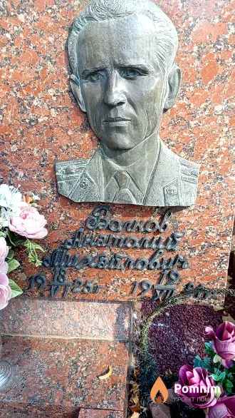 Волков Анатолий Михайлович
