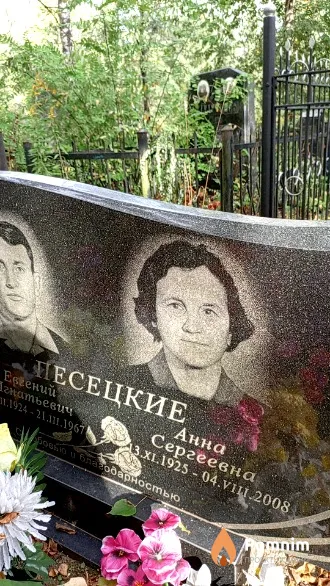 Песецкая Анна Сергеевна