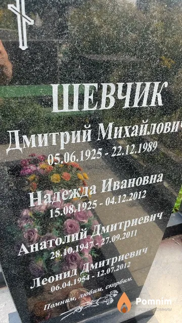 Шевчик Анатолий Дмитриевич