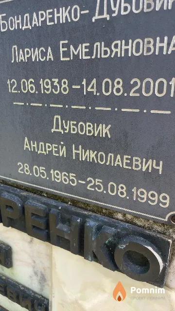 Дубовик Андрей Николаевич