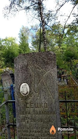 Сецко Вера Павловна