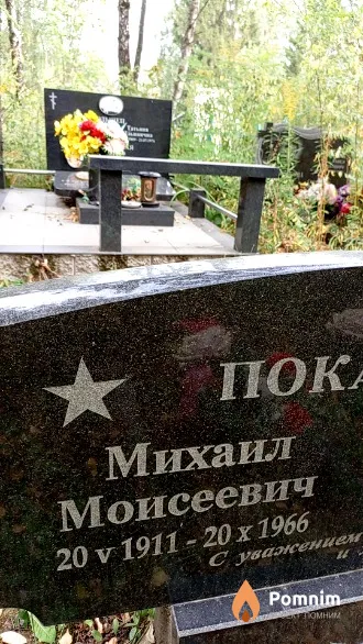 Покатило Михаил Моисеевич