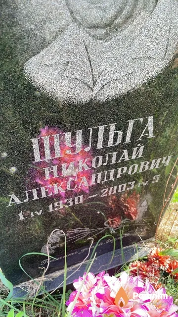 Шульга Николай Александрович
