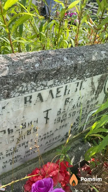 Ковалевский Василий Васильевич