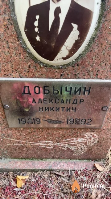 Добычин Александр Никитич