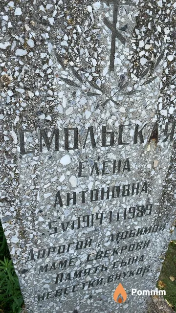 Смольская Елена Антоновна