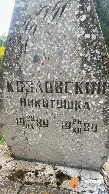 Козловский Никита