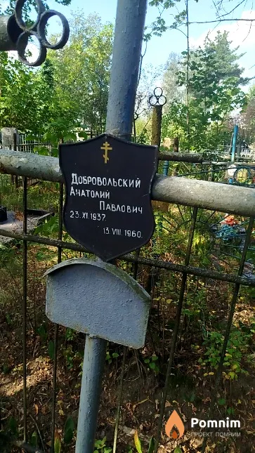 Добровольский Анатолий Павлович