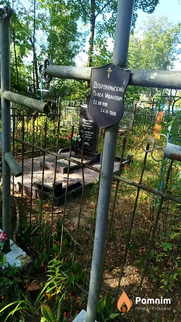 Добровольский Павел Иванович