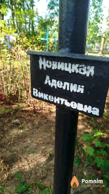 Новицкая Аделия Викентьевна
