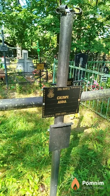 Силич Анна