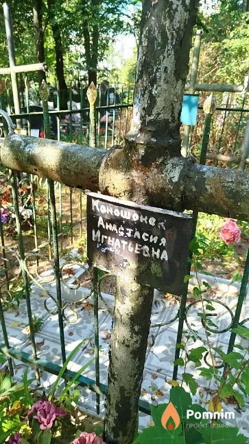 Коношонок Анастасия Игнатьевна