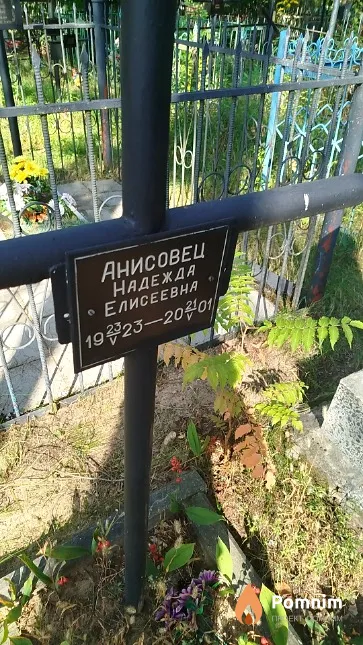 Анисовец Надежда Елисеевна