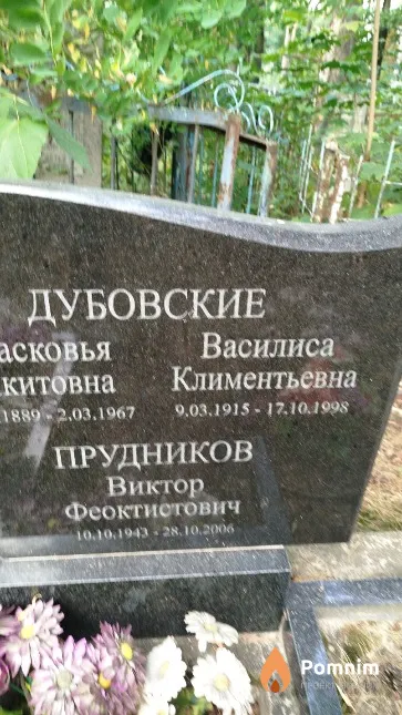 Дубовская Василиса Климентьевна