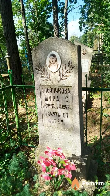 Алейникова Шура С