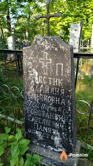 Товстик Камилия Юльяновна