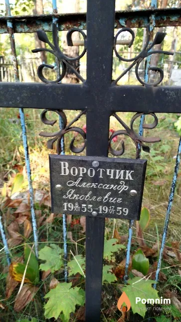 Воротчик Александр Яковлевич