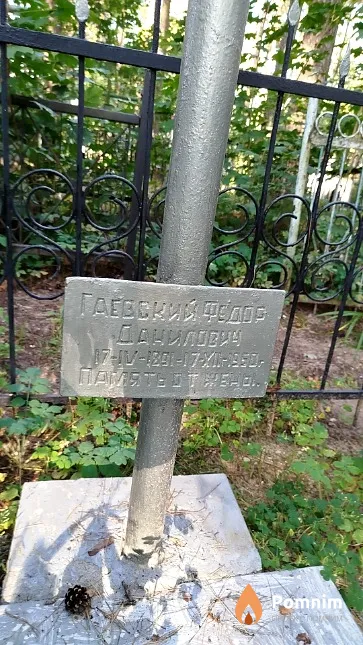 Гаевский Фёдор Данилович