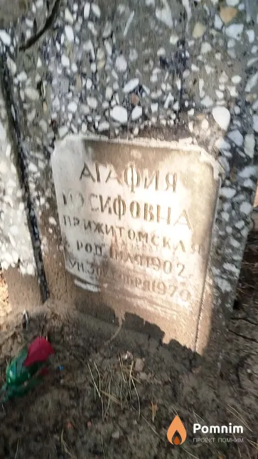Прижитомская Агафия Иосифовна