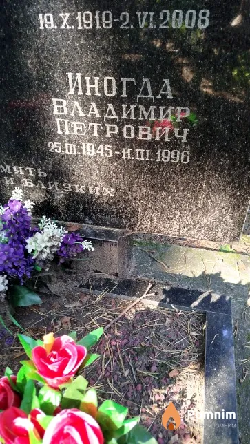 Иногда Владимир Петрович