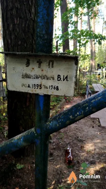 Макаревич В. И.