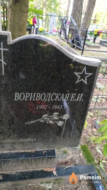 Вориводская Е. И.