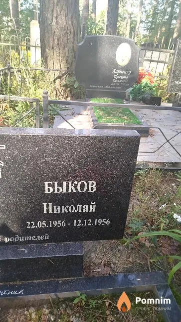 Быков Николай