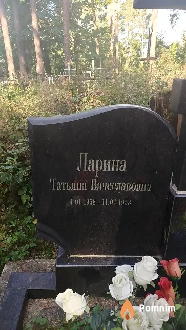 Ларина Татьяна Вячеславовна