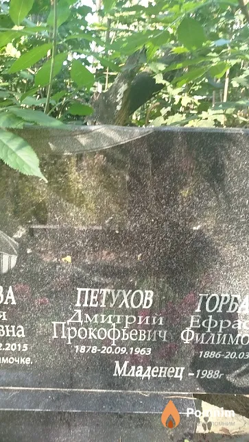 Петухов Дмитрий Прокофьевич