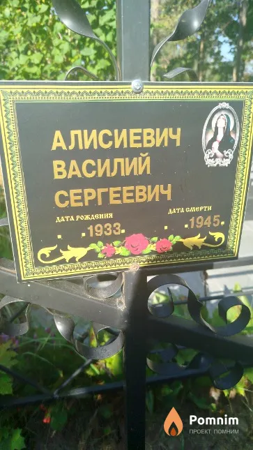 Алисиевич Василий Сергеевич