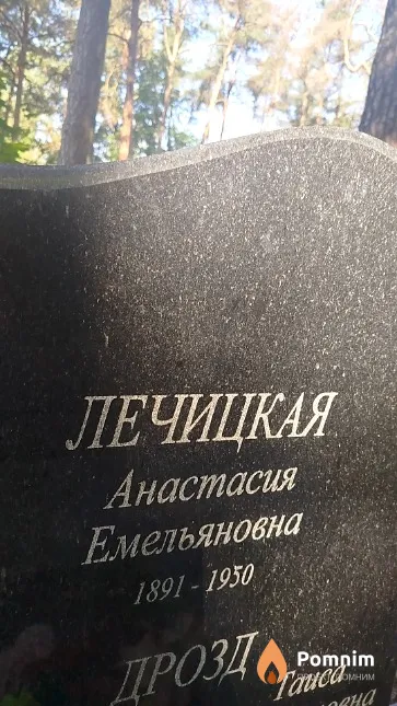 Лечицкая Анастасия Емельяновна