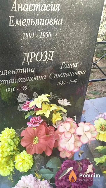 Дрозд Таиса Степановна