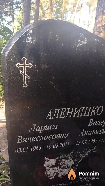Аленишко Лариса Вячеславовна