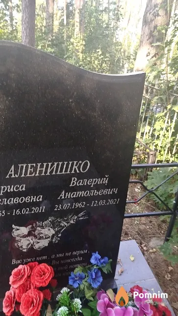 Аленишко Валерий Анатольевич