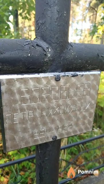 Воробьев Пётр Николаевич