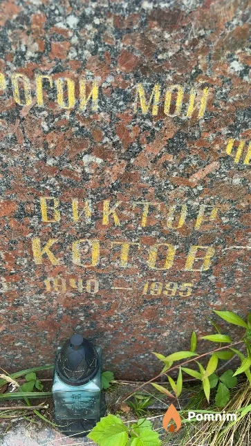 Котов Виктор