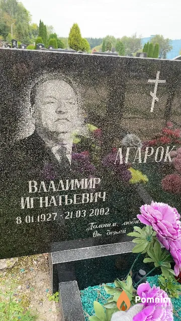 Агарок Владимир Игнатьевич