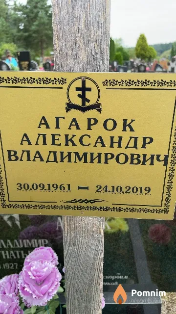 Агарок Александр Владимирович