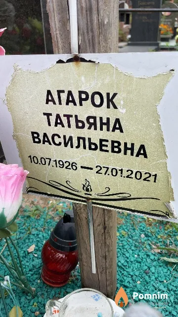 Агарок Татьяна Васильевна