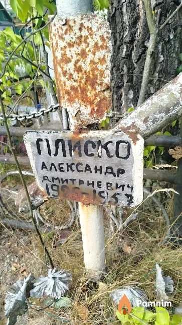 Плиско Александр Дмитриевич