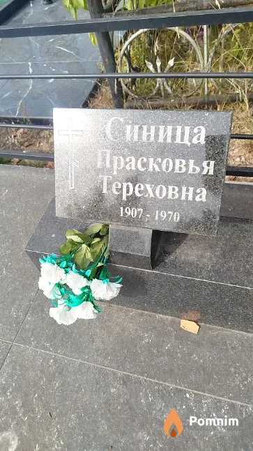Синица Прасковья Тереховна