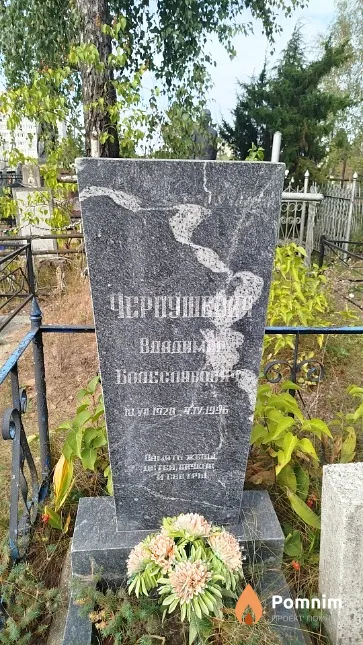 Чернушевич Владимир Болеславович