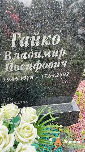 Гайко Владимир Иосифович