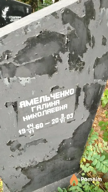 Амельченко Галина Николаевна