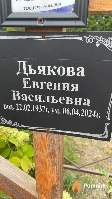 Дьякова Евгения Васильевна