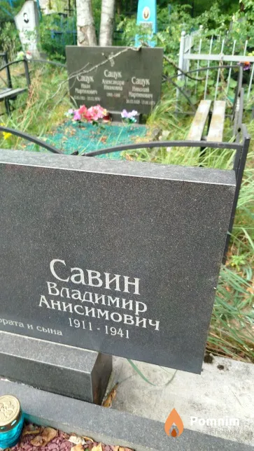 Савин Владимир Анисимович